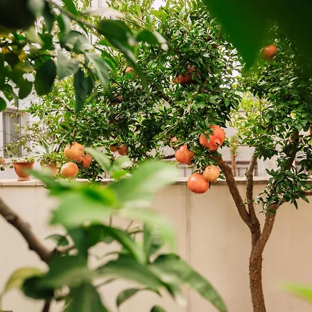 Lejlighed Modern With Loggia Terrace And Parking *