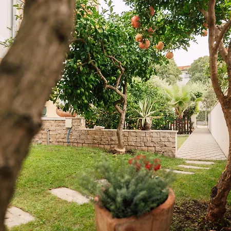 Lejlighed Modern With Loggia Terrace And Parking