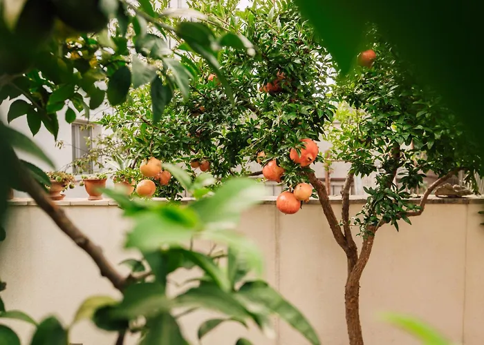 Appartement Modern With Loggia Terrace And Parking *